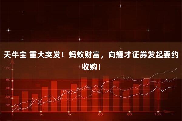 天牛宝 重大突发！蚂蚁财富，向耀才证券发起要约收购！